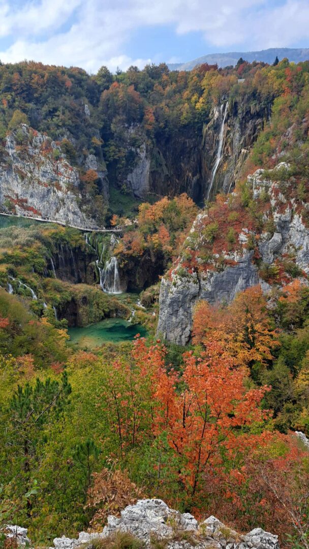 561515722_1372431951551319_815004926975385566_n